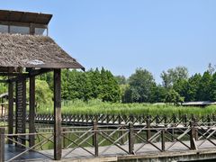 -溱湖国家湿地公园