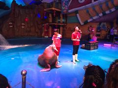 -烟台海昌鲸鲨海洋公园