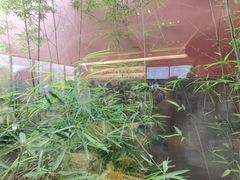 -故宫冰窖餐厅