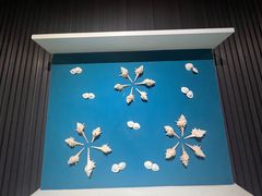 -青岛贝壳博物馆