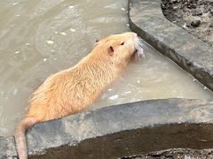 -水上乐园·欢乐世界