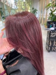 -CARR SALON