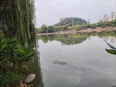-月湖风景区
