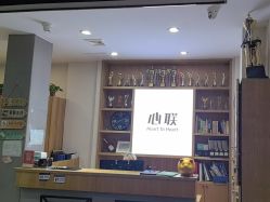 -心联形象设计·流星染
