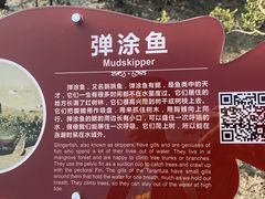 -北海金海湾红树林生态旅游区