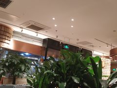 大堂-云海肴·汽锅鸡·云南菜(领展购物广场·中关村店)