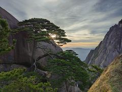 -黄山风景区