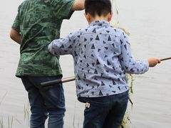 -漕湖湿地公园