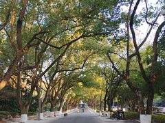 -浙江大学(玉泉校区)
