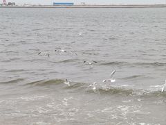 -金梦海湾浴场