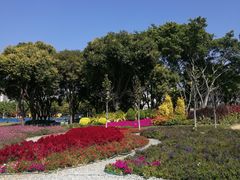 -文华公园(禅城区)