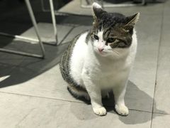 -UNI UNI(环亚凯瑟琳店)