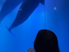 -大连圣亚海洋世界