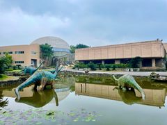 -自贡恐龙博物馆