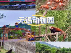 -无锡动物园·太湖欢乐园