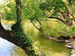 -惠山古镇·寄畅园