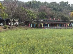 -红山村
