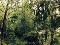 iphone_upload_pic-新江湾城公园