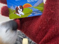 -凯瑞希宠物医院·狂犬免疫·微创·皮肤科