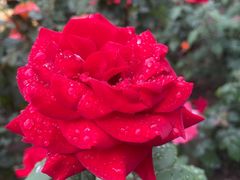 -大望路(地铁站)