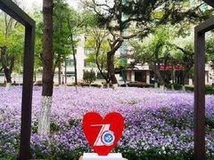 -辽宁省实验中学