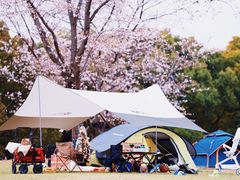 -上海滨江森林公园