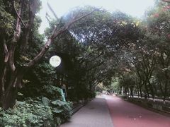 -T館·花园艺术餐厅