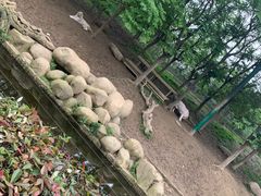 -常州淹城野生动物世界