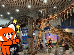 -国家自然博物馆