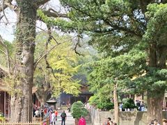-普陀山风景名胜区-法雨禅寺