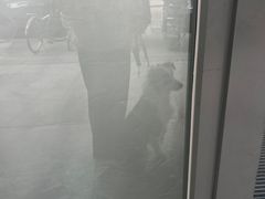 -爱侣宠医·鹦鹉专科·小型哺乳类·异宠专科(灵石路店)