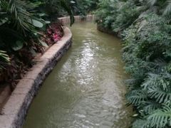 android_upload_pic-龙达温泉生态城