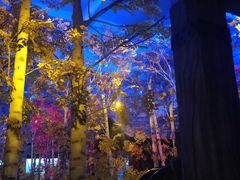 -华夏文旅西安度假区