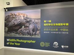 -浙江自然博物院(杭州馆)