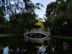 -上海共青森林公园