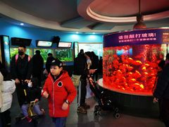 -上海动物园(地铁站)