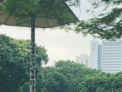 -深圳野生动物园