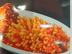 -紫光园·烤鸭·北京菜(劲松店)