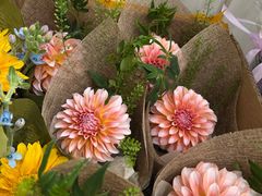 -淘花源花艺鲜花店 开业花篮 绿植(南部商务区店)