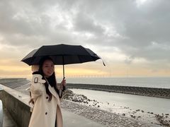 -上海长兴岛郊野公园