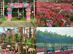 -盈香心动乐园