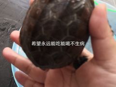 -邦泰·异宠动物医院