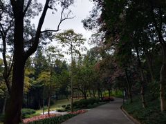 -广州雕塑公园