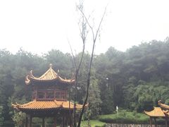 -铁山坪森林公园