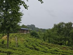 -南湾湖