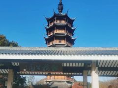 -红梅公园