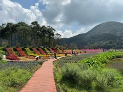 -广州市石门国家森林公园