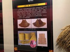 -嘉定博物馆