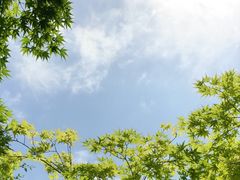 -邓小平故里