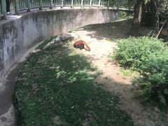 -西安秦岭野生动物园